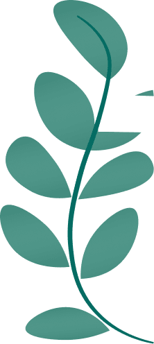 Big Leaves Illustration