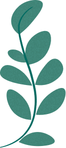 Big Leaves Illustration