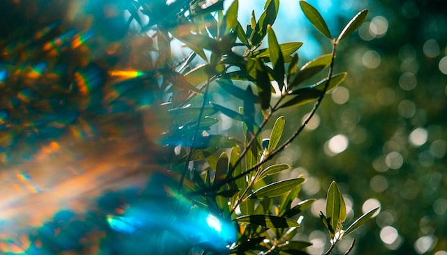 Retinal Migraine: Symptoms, Causes and Treatments